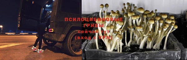 кристаллы Надым