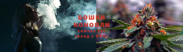 гидра Наволоки